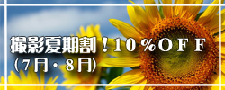 夏割り！２０％OFF